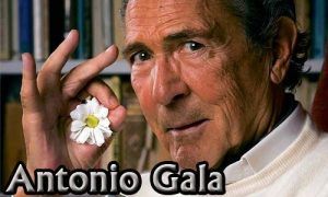 El dolor del alquimista El dolor del alquimista