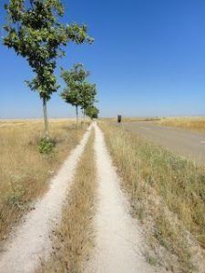 Camino de Santiago