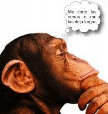 Cavilaciones de una cabeza inquieta