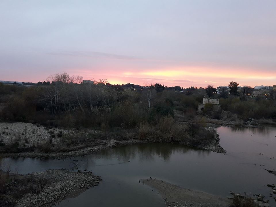 El final II