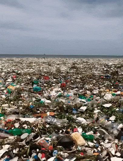 ¡SOS! El mar no come plástico El Mar no come Plástico