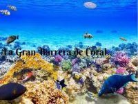 Gran Barrera de Coral, Australia